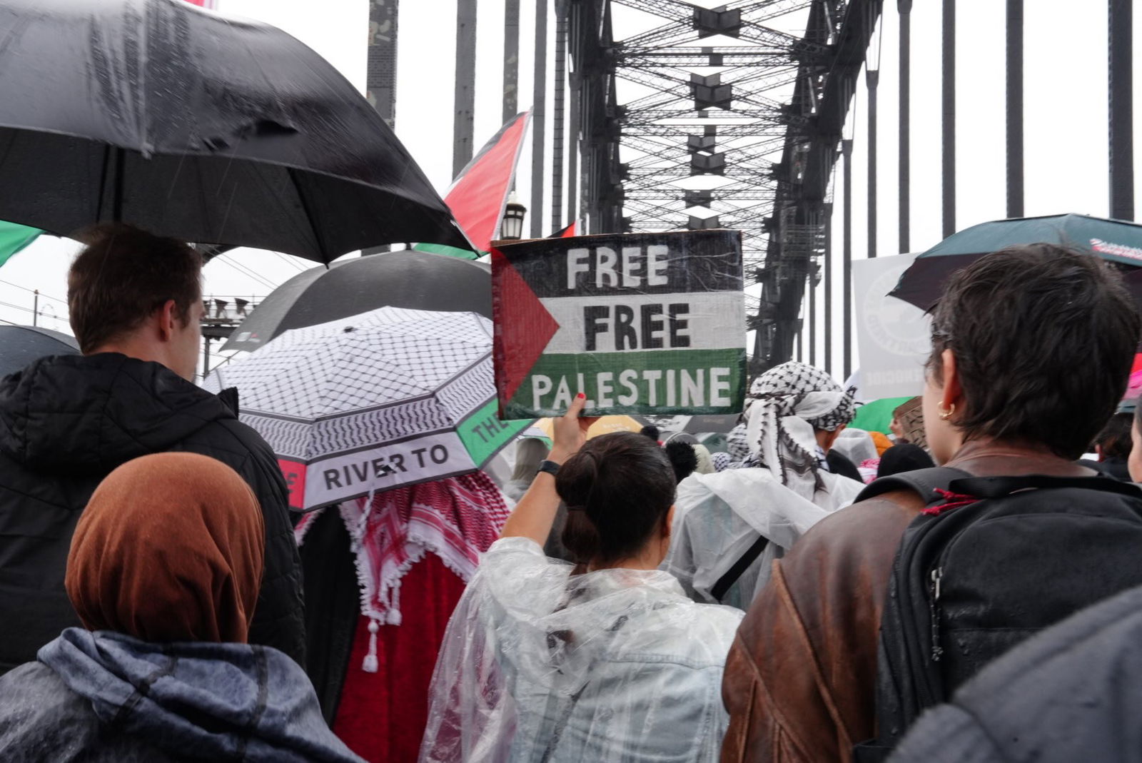 A person holds up a sign painted to resemble the Palestinian flag that reads: "FREE FREE PALESTINE"