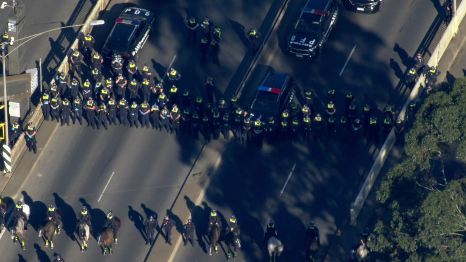 Dozens of police officers stand on a road near police cars behind a line of officers on horseback.