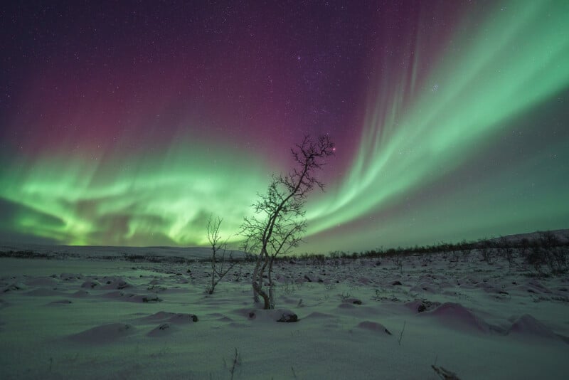 A green and purple aurora borealis over a snowy field.