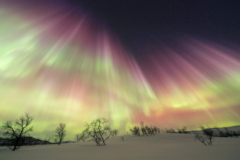 Colorful aurora borealis lights in shades of green, pink, and purple fill the night sky above a snowy landscape with bare trees scattered across the ground.