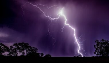 Lightning Kills Way More Trees Than You Would Ever Believe : ScienceAlert
