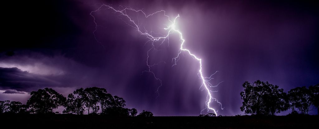 Lightning Kills Way More Trees Than You Would Ever Believe : ScienceAlert
