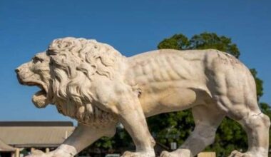 Brackenridge Park Conservancy unveils new public art map