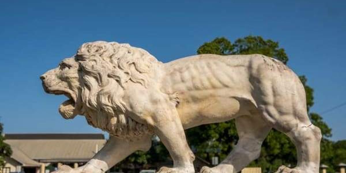 Brackenridge Park Conservancy unveils new public art map