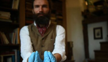 Scientists Analyzed the Genome of a Late Neanderthal's DNA