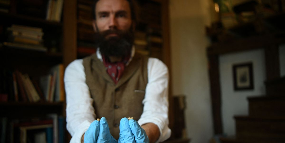 Scientists Analyzed the Genome of a Late Neanderthal's DNA