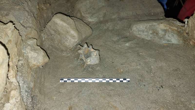 Major discovery of Ice Age bones in a Norwegian cave opens a window into the past