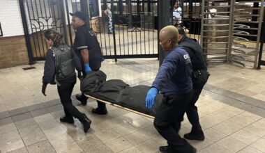 Man struck and killed by train at Harlem subway station