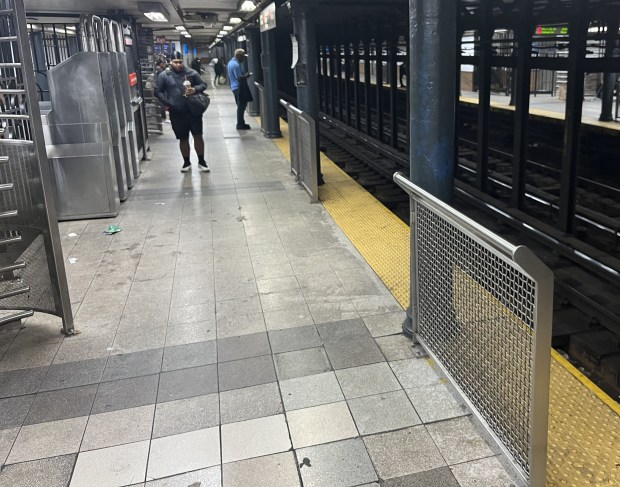 The subway station at 125th St. has a few barriers along the platform edge but mainly just near the turnstiles. (Julian Roberts-Grmela / New York Daily News)