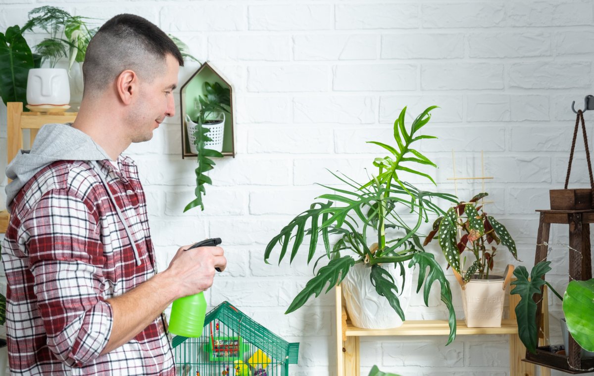 Man watering plant