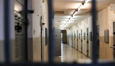 A Mexican woman was sentenced to two years in prison for pepper spraying a border patrol agent in A...