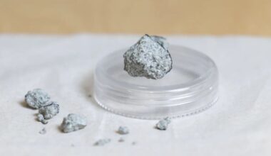 Atlanta Home Struck by Meteorite Older Than Earth, Study Finds : ScienceAlert