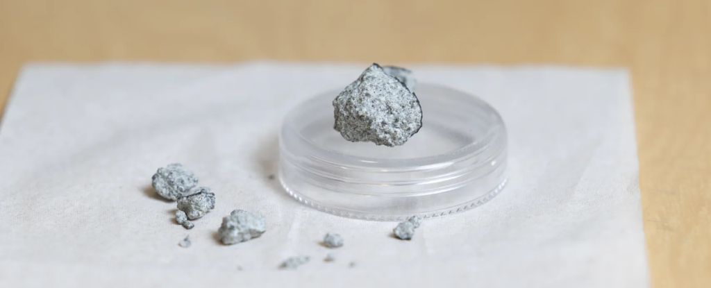 Atlanta Home Struck by Meteorite Older Than Earth, Study Finds : ScienceAlert