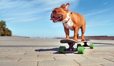 IT Essentials: So long silly season