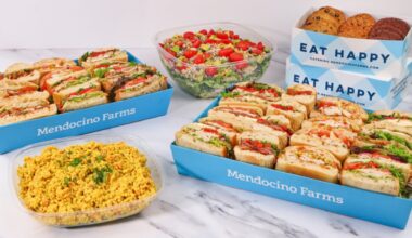 California sandwich chain Mendocino Farms expanding to Chicago – NBC Chicago