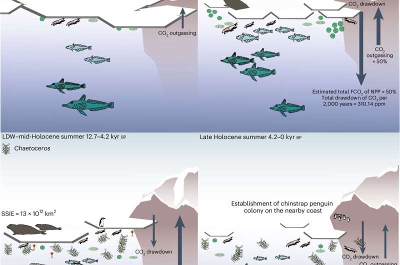 Microalgae found more significant for carbon dioxide absorption in the Southern Ocean than previously thought