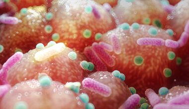 Parkinson's Link to Gut Bacteria Hints at an Unexpected, Simple Treatment : ScienceAlert