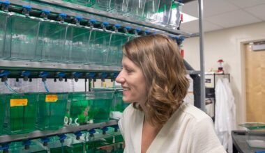 Evolutionary biologist Misty Riddle receives NSF CAREER Award