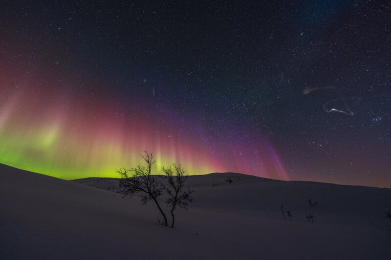 A snowy landscape at night with a silhouetted tree in the foreground and vibrant green and pink aurora borealis lights dancing across a star-filled sky.