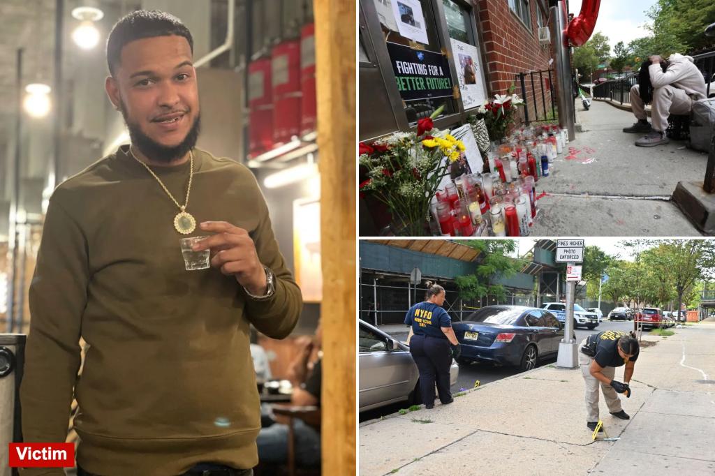 15-year-old NYC boy with long rap sheet charged with murder as violent Bronx summer reaches tipping point: cops, sources