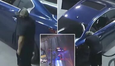 California suspect stops for gas in middle of high speed police chase in Los Angeles
