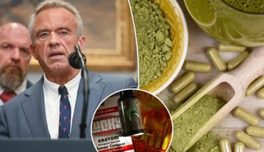 What is kratom? All about the addictive supplement amid crackdown