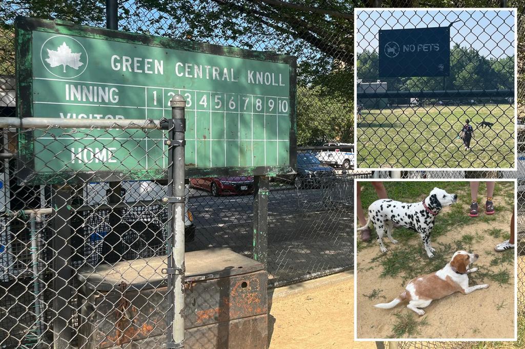 'Entitled' NYC pet owners turn kiddie ballfield into illicit poop-filled dog park