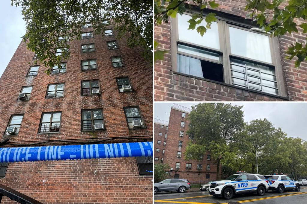 Boy, 5, survives plummet from 5th-story window of NYC apartment complex: sources