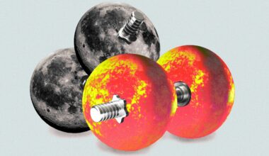 Is It Better to Work Out in the Morning or the Evening?