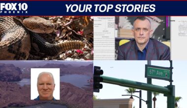 Paddleboarder disappears at Saguaro Lake; hit-and-run in Phoenix | Nightly Roundup