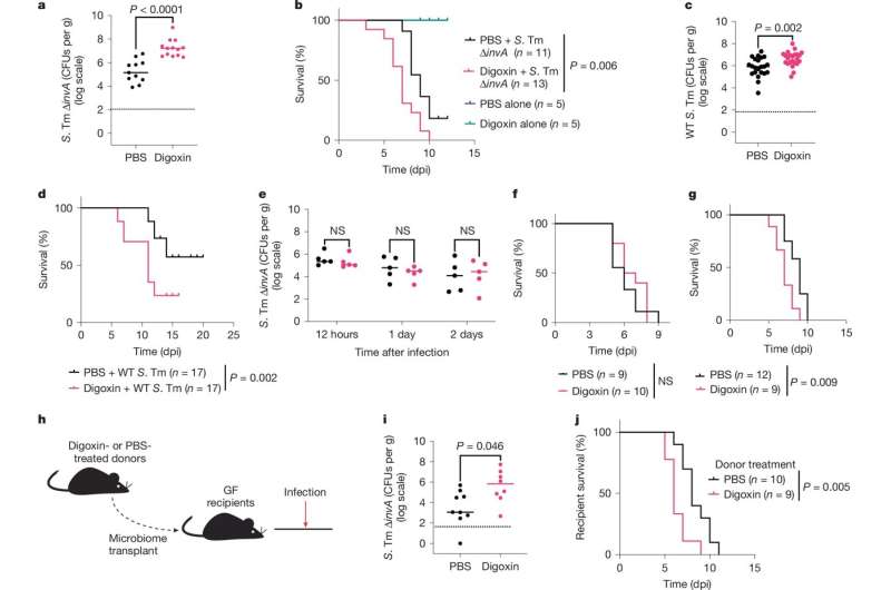 Non-antibiotic drugs also disrupt the microbiome