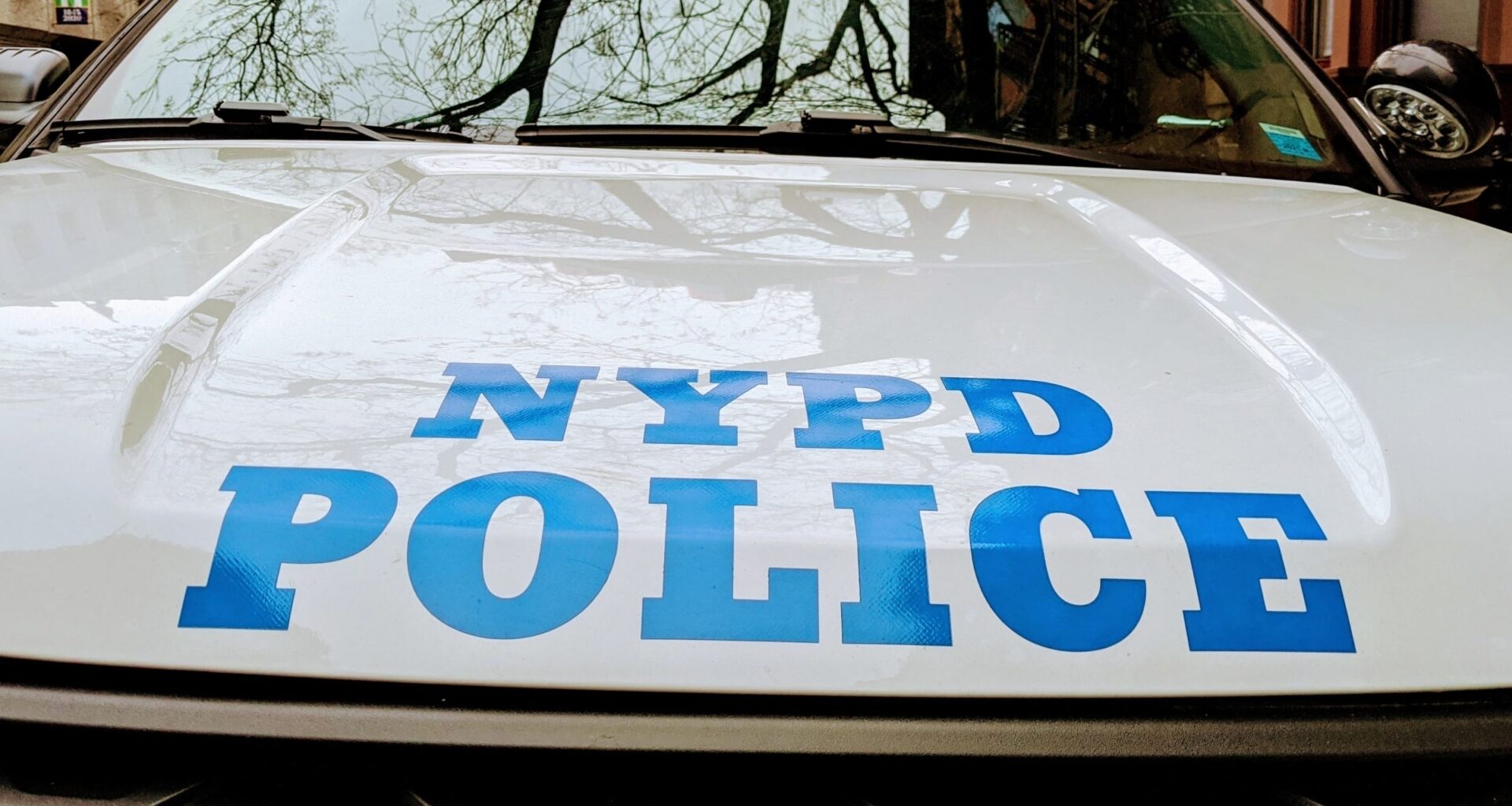 Man Robbed At Gunpoint in Central Park: Police