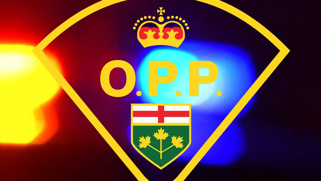 Woman Reported Missing From Bruce County Found Dead