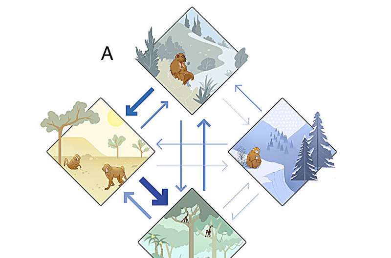 Our primate ancestors evolved in the cold—not the tropics
