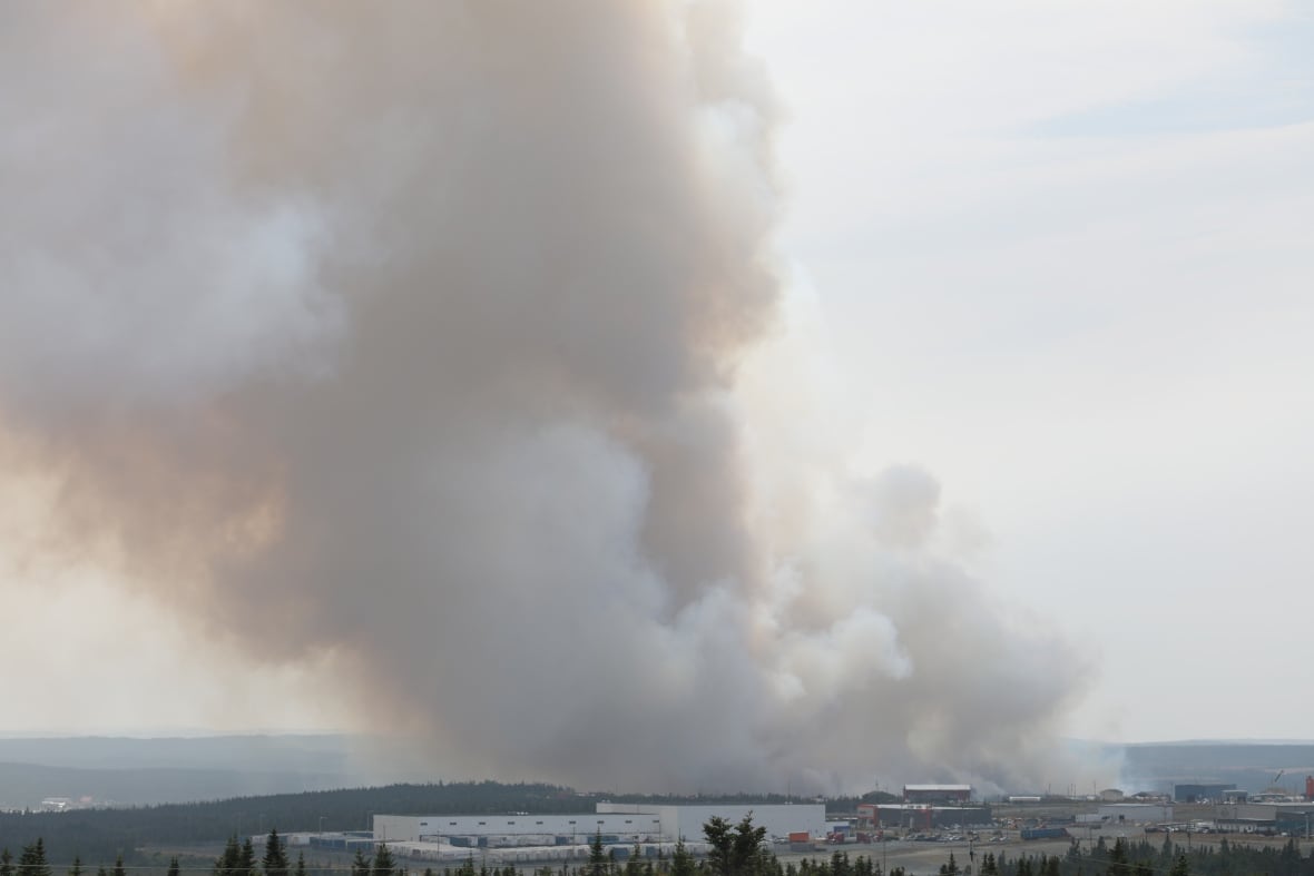 Smoke from a wildfire billows into the sky.