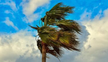 phoenix forecast rain extreme heat...