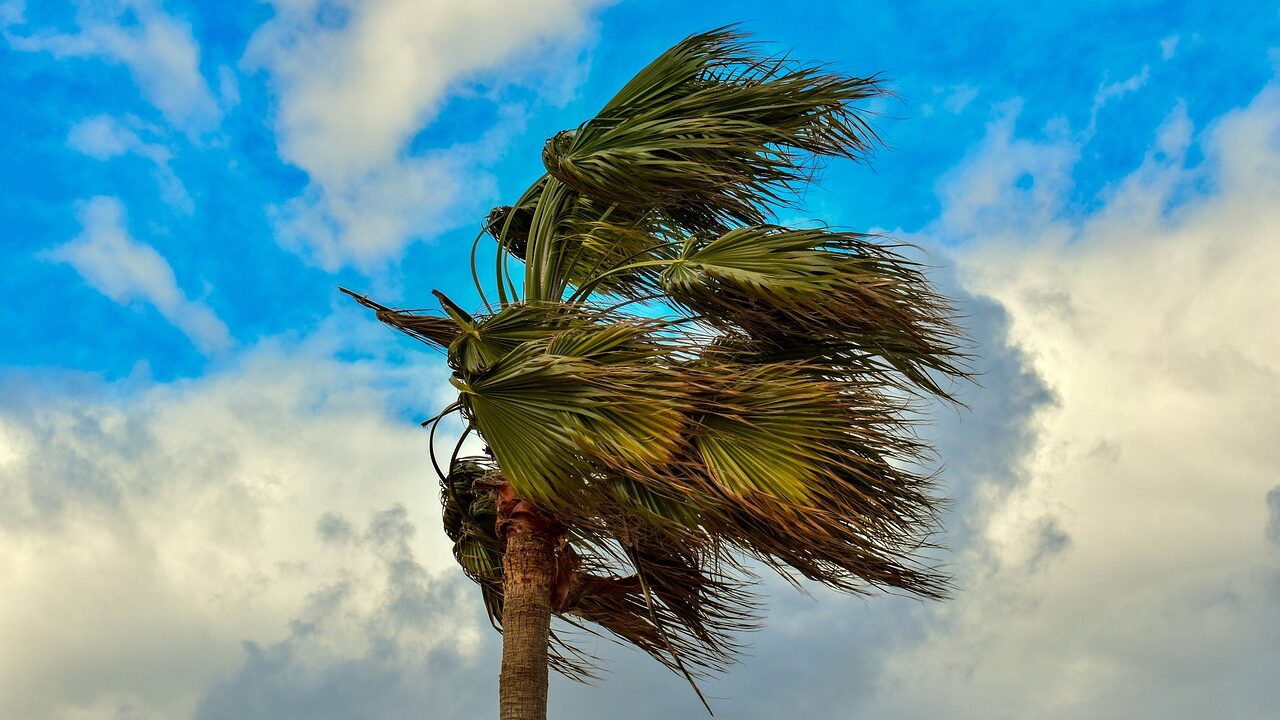 phoenix forecast rain extreme heat...