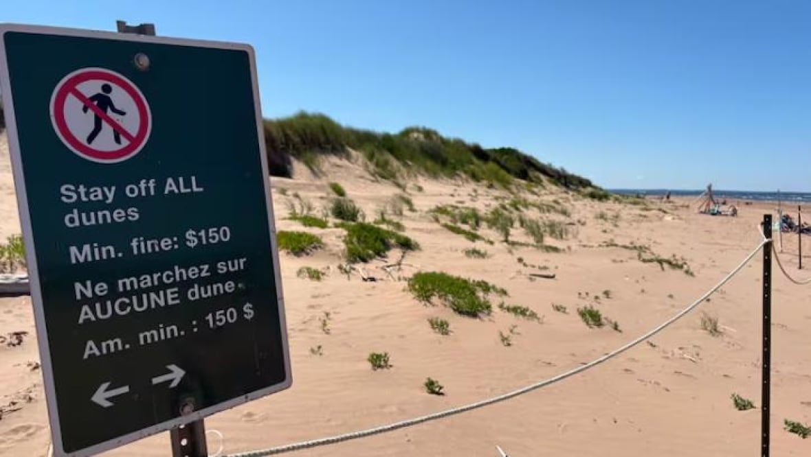 A sign that warns visitors to stay off sand dunes or face a $150 fine. 