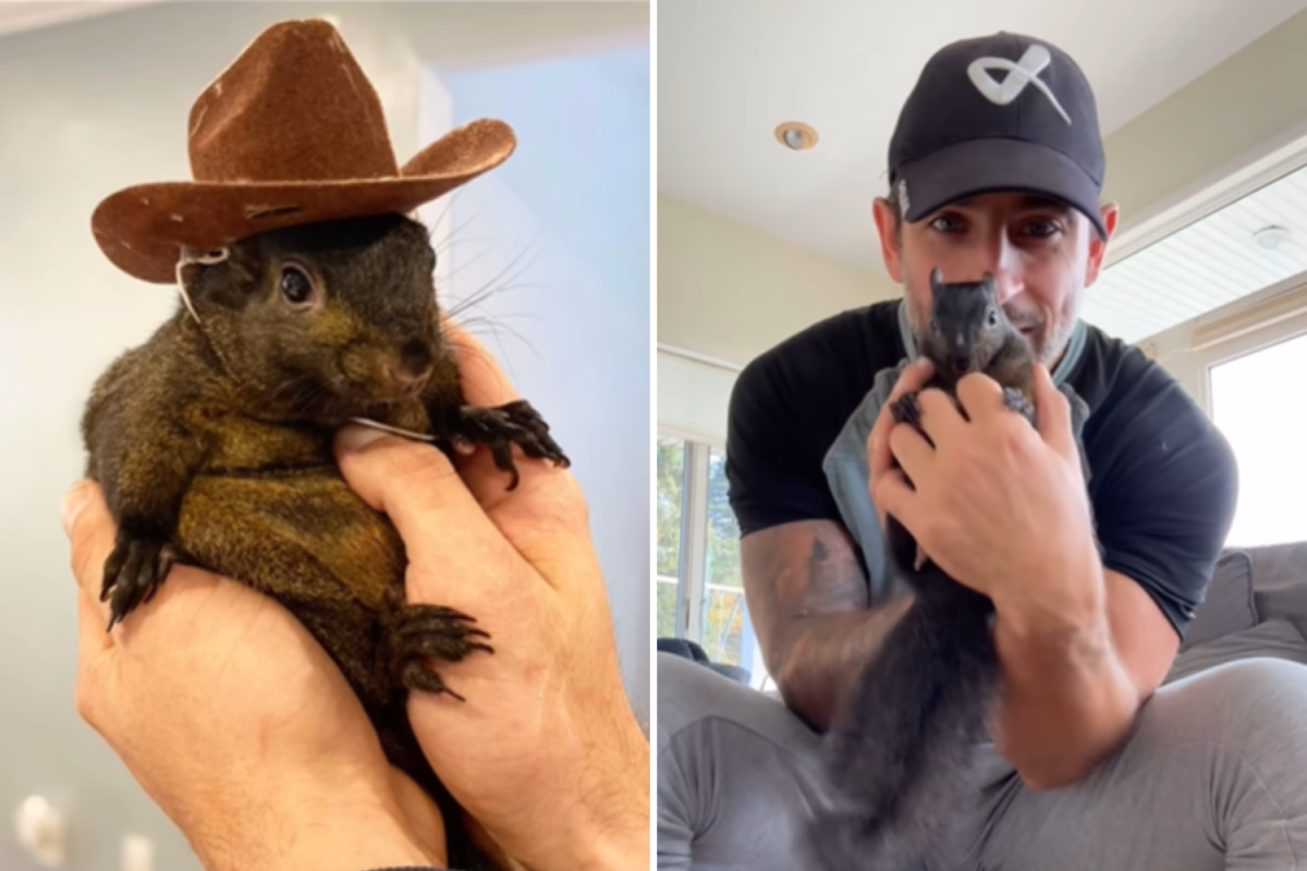 Peanut the squirrel
