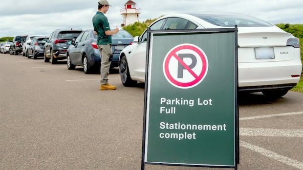 Canada Strong park pass has brought big crowds, but some question whether everyone should get in for free