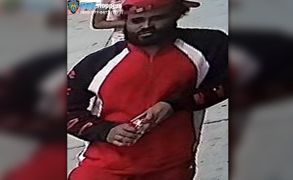 Cops hunt suspect wanted for horrific Bronx torture, slaying