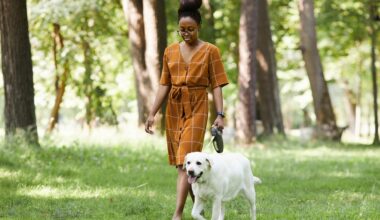 A person with brown hair up in a bun walking a white dog in a park surrounded by trees.