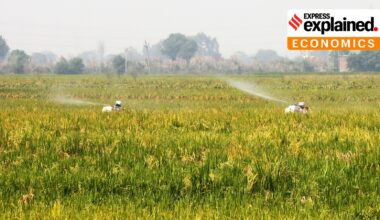 India’s organised domestic crop protection chemicals market is valued at roughly Rs 24,500 crore.