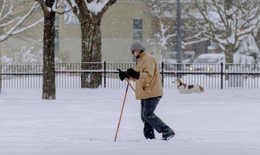 person nordic walking in snow