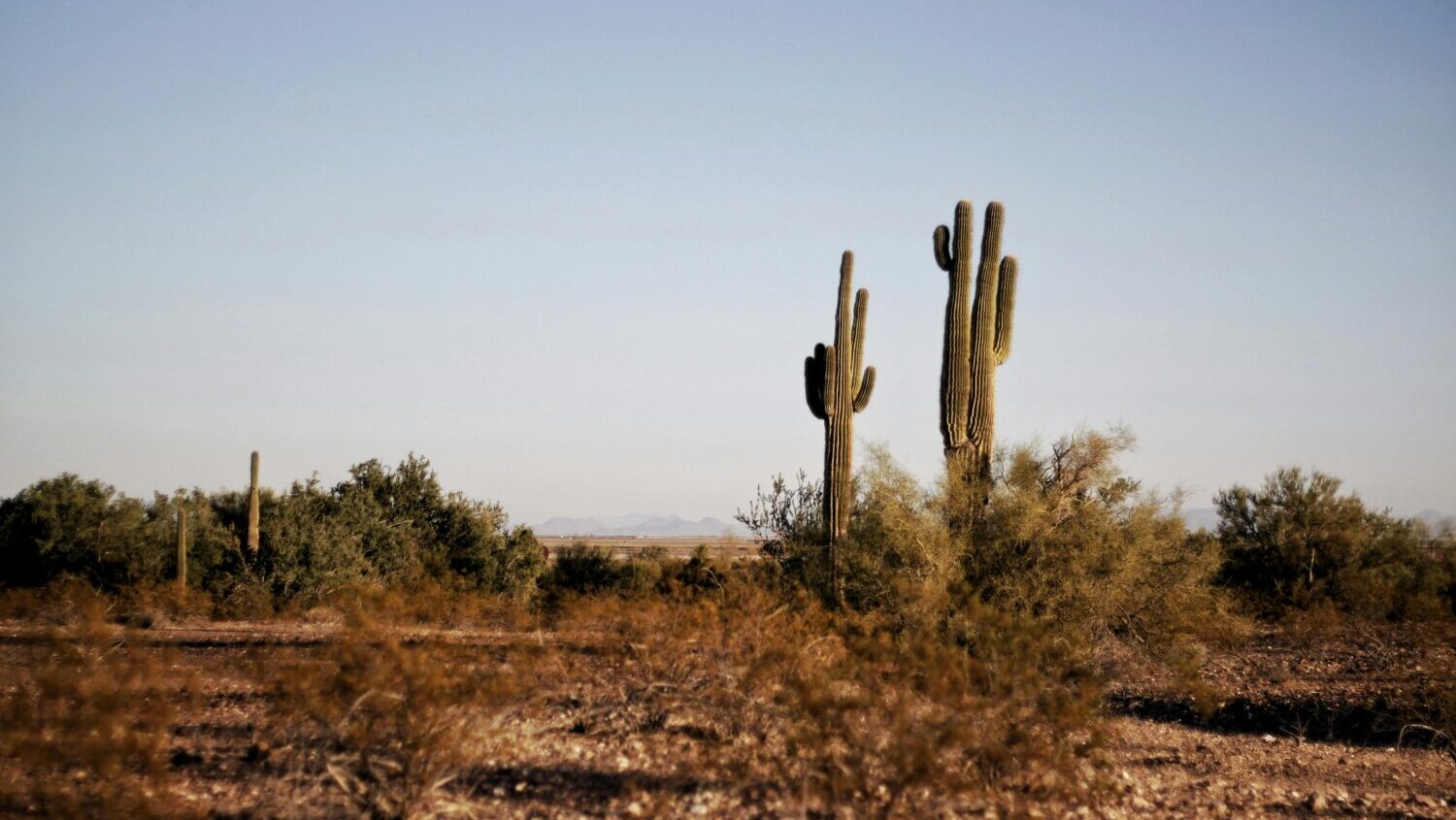 Phoenix matched a daily heat record on Thursday that was originally set just six years ago....