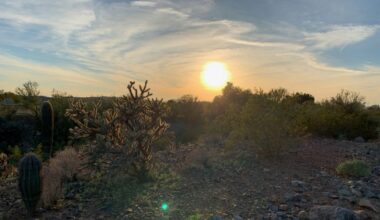 Arizona news weekend wrap Aug. 1-3...