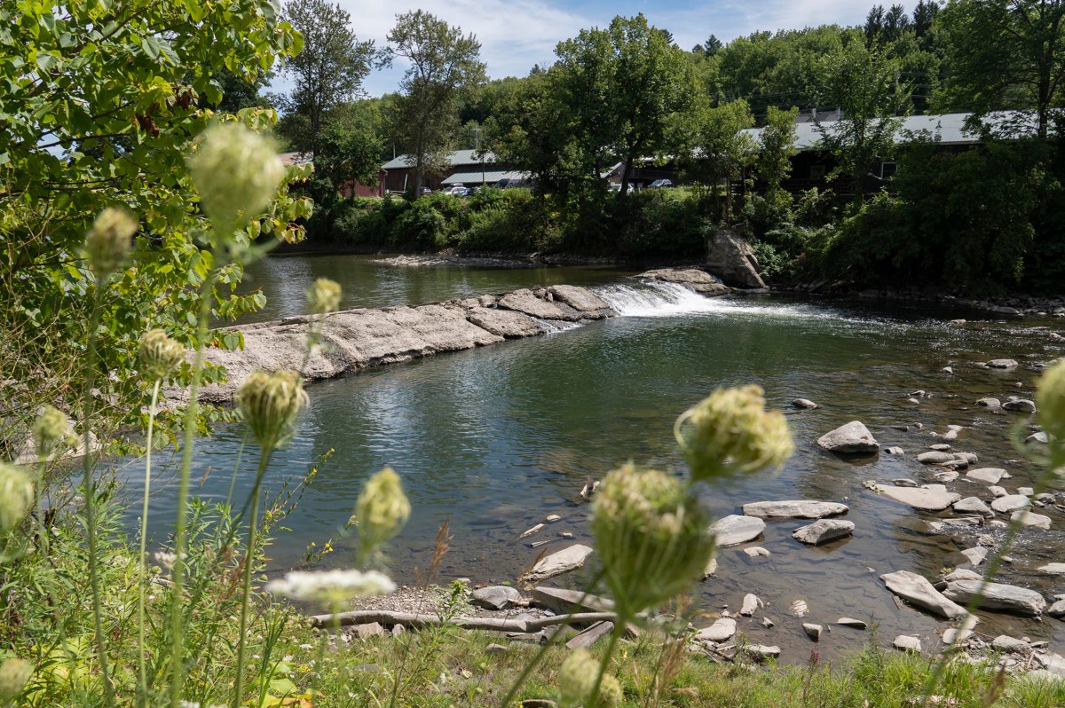 A small waterfall flows over rocks in a calm river surrounded by trees and houses, with wildflowers in the foreground.