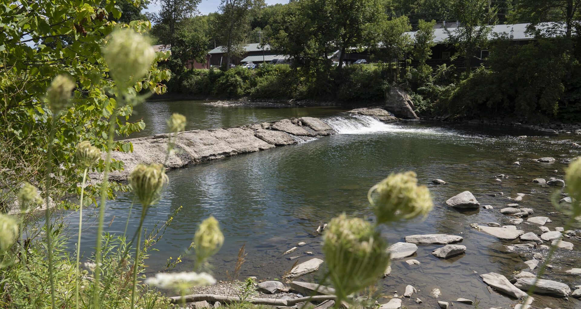 Montpelier plans to remove Pioneer Street Dam and restore nearby floodplain