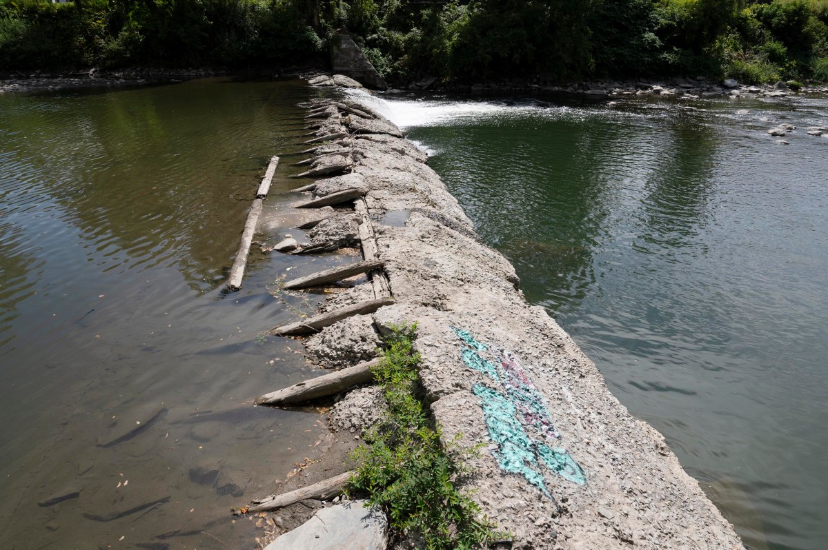 A low concrete dam with protruding wooden beams spans a river, with water gently flowing over it and greenery in the background.