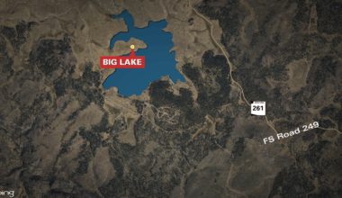 Hefty reward offered for information leading to Arizona poaching arrests